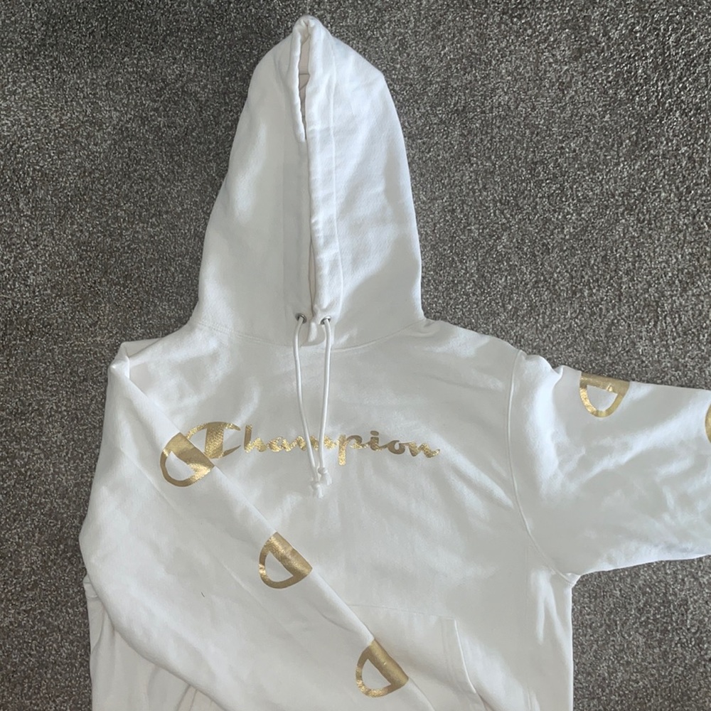 Campion Hoodie